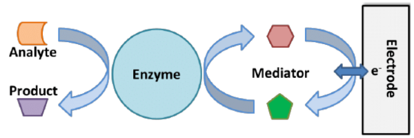 Bioconjugation is the process of sticking (chemical conjugating) 2 or more biochemically active molecules together to achieve a new molecule capable of performing multiple tasks within the biochemical system.